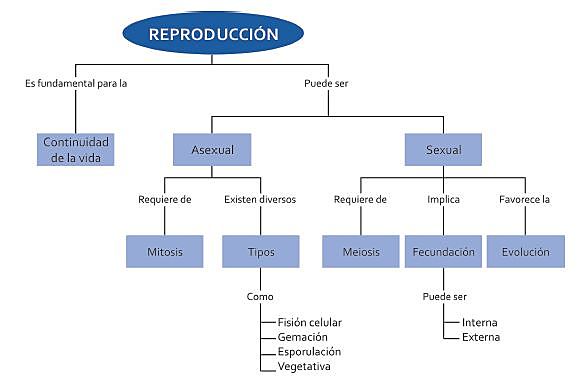 Perspectivas Sociológicas de la Educación, Siglo XX-XXI