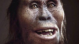 Timeline: Proceso de hominización