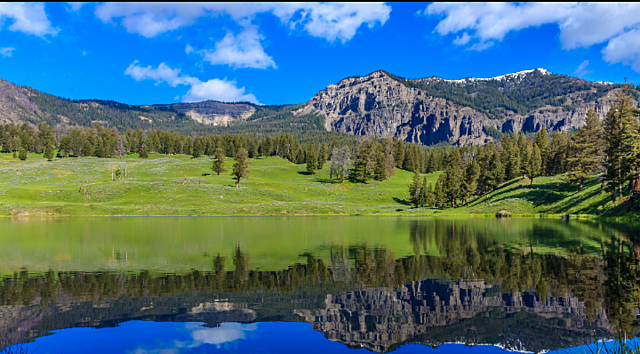 Parque Nacional Yellowstone