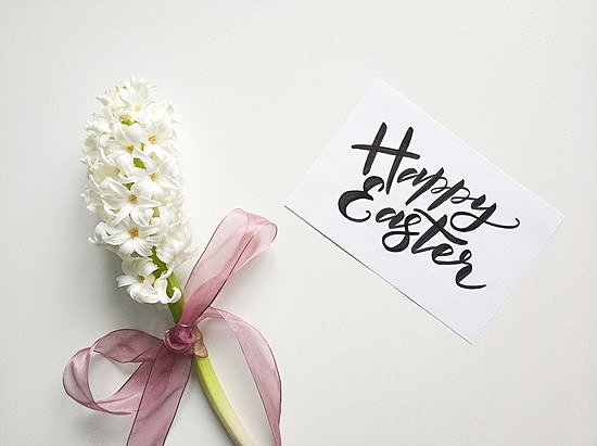 Chasse aux oeufs - Foyer de thémis