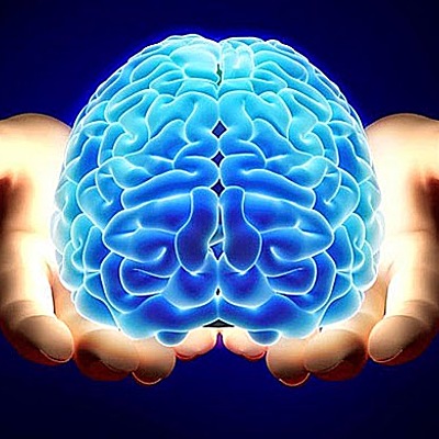 Timeline: Campos de la psicología