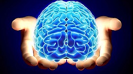 Timeline: Campos de la psicología