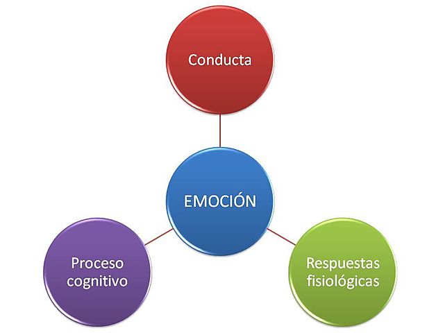 lenguaje no verbal - teoría por Paul Ekman