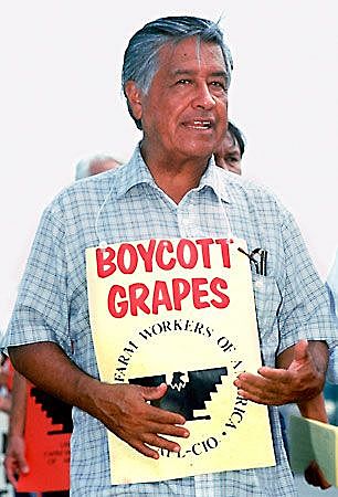 Cesar Chávez Grape Boycott