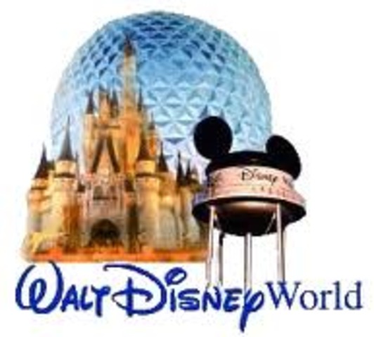 purchased disney world tickets