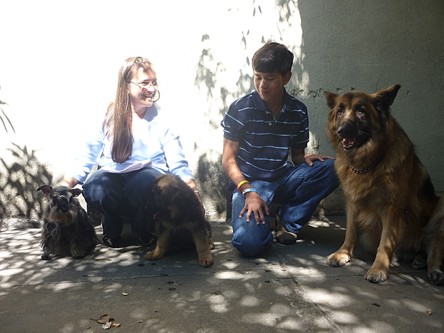 Nuevo miembro de la familia