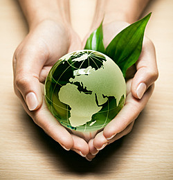 Conferencia intergubernamental de educación ambiental. TBILISI, RUSIA