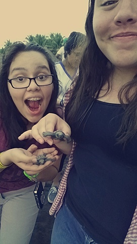 Liberación de tortugas