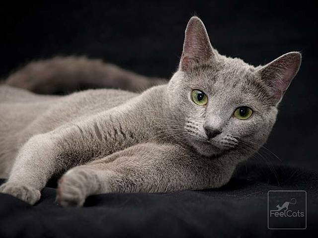 My Best Present Last Christmas.