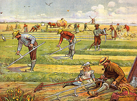 Handel en opkomst van steden