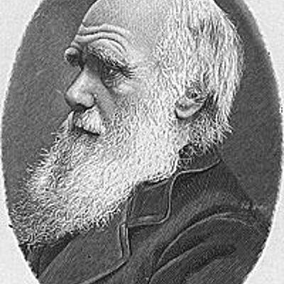 Timeline: a vida de Charles Darwin