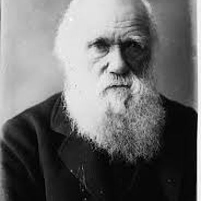 Timeline: Charles Darwin - por Carolina Warmling e Giulia Ventre