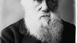 Timeline: Charles Darwin - por Carolina Warmling e Giulia Ventre