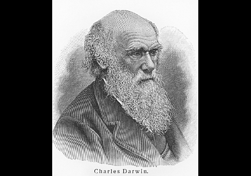 Charles Robert Darwin
