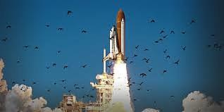 Space Shuttle Challenger