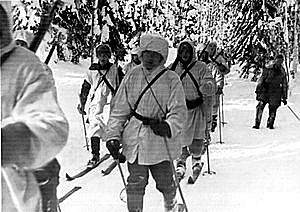 BATALLA DE TOLVAJÄRVI