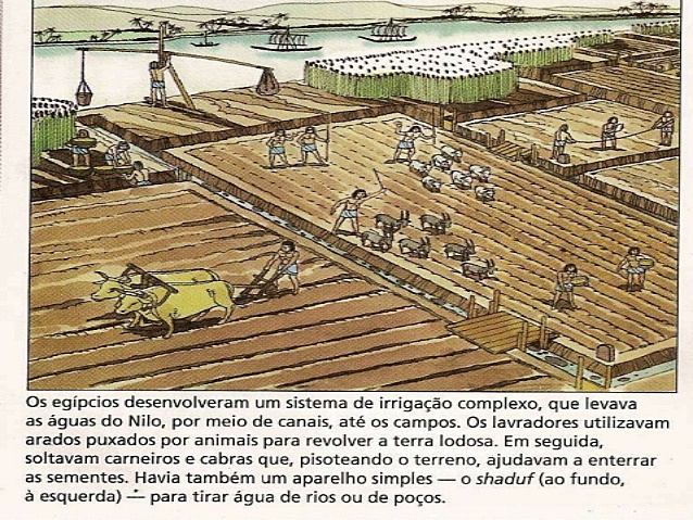 Invenção de aparelhos de irrigação