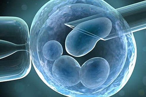 Reprogramacion Celular