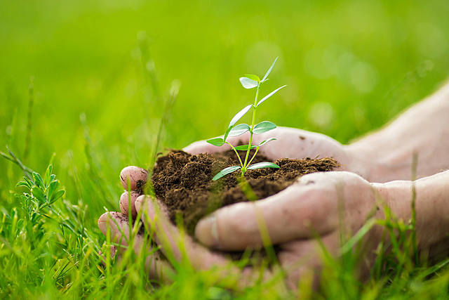 Conheceu um naturalista