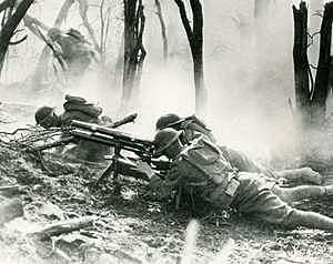 Battle of Argonne