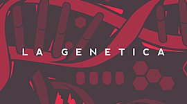 Timeline: La Genetica