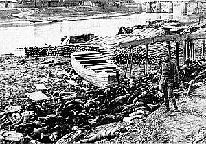 rape of nanking