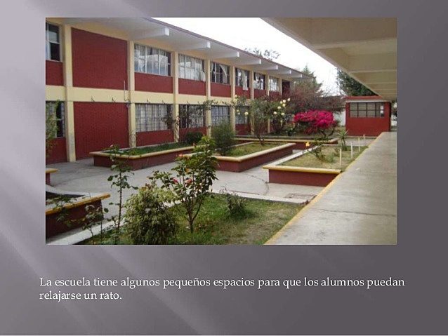 La secundaria.