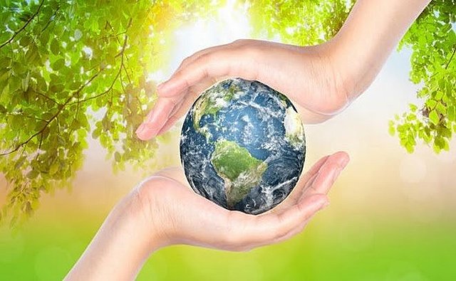 Proclamación del Día Mundial del Medio Ambiente