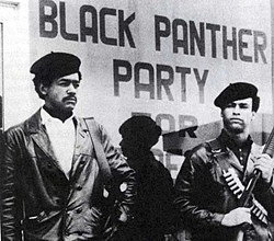 civil rights movement black panther party