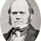 Charles darwin by maull and polyblank, 1855 crop