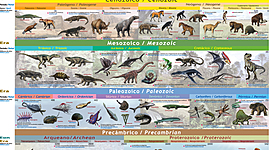 Timeline: Eras geológicas