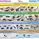 Eras geologicas