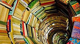 Timeline: LITERATURA