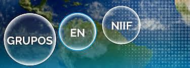 Grupo 1 (NIIF plenas)