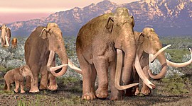 Timeline: STEM Challenge: It's All Relative (Elephant Organism)