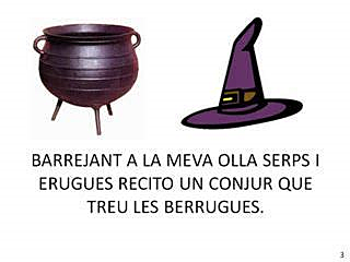 ELS RECURSOS LITERARIS