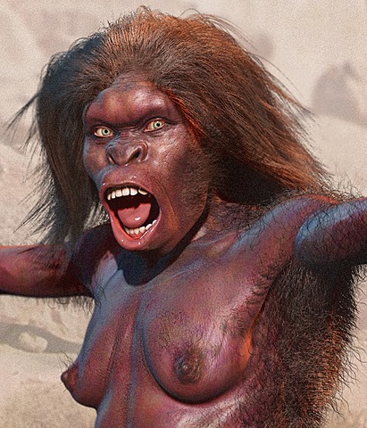 HOMO ERECTUS    1,5 MA