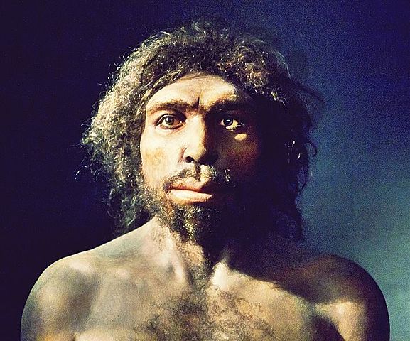 HOMO ANTECESSOR  900.000 anos