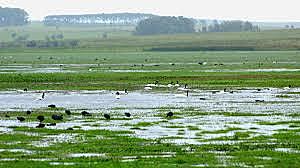 Convención sobre los humedales.