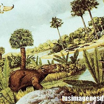 Timeline: ERAS Y PERIODOS GEOLOGICOS