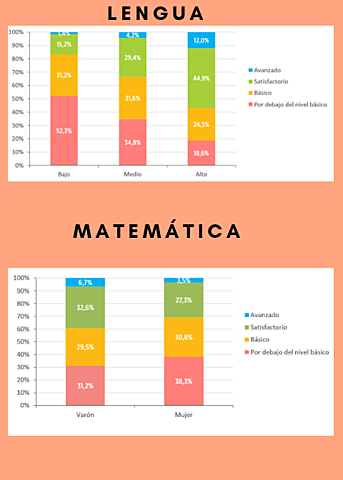 NIVEL DE DESEMPEÑO POR GÉNERO