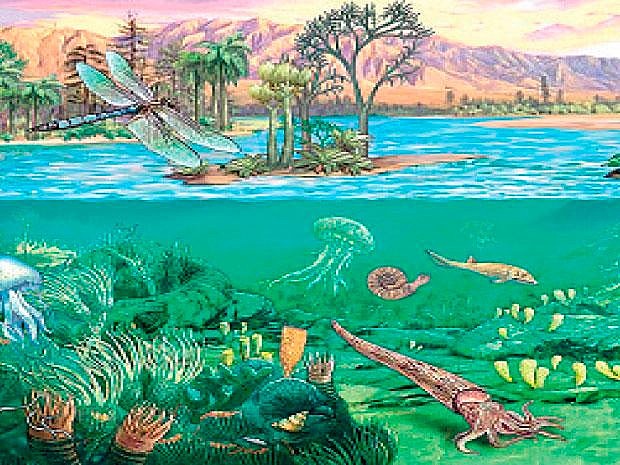 ERA PALEOZOICA