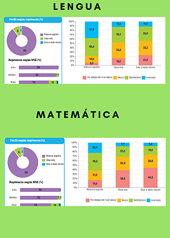 NIVEL DE DESEMPEÑO SEGÚN REPITENCIA DECLARADA