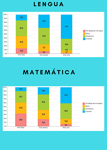 DESEMPEÑO SEGÚN EL NIVEL SOCIOECONOMICO