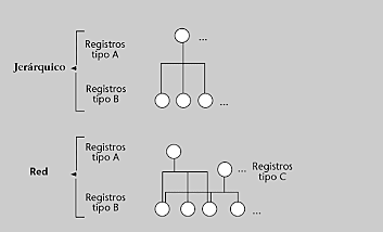 BASE DE DE RED Y JERÁRQUICAS