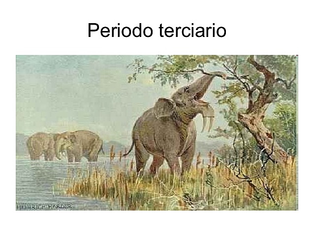 Periodo terciario