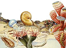 8B-David Villegas Lerma-Periodo Silurico