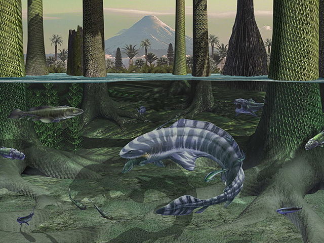 carbonifero