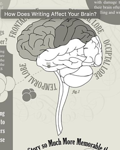 How Does Writing Affect Your Brain?