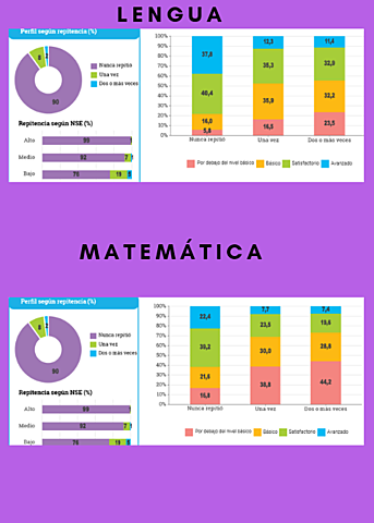 NIVEL DE DESEMPEÑO  SEGÚN REPITENCIA DECLARADA